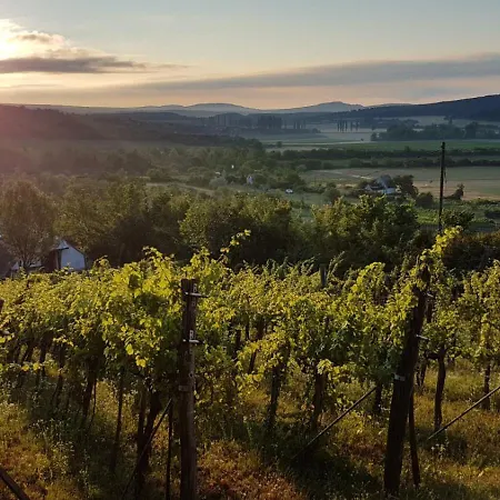 Press House At The Walnut Tree - Mypresshouse * Pécsely