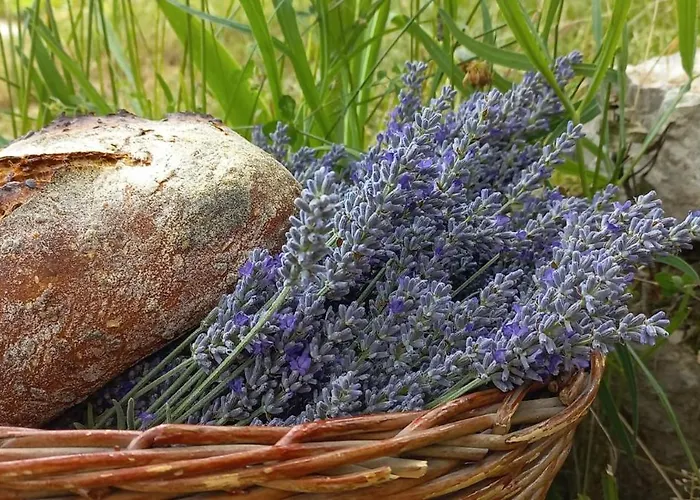 בית נופש Press House At The Walnut Tree - Mypresshouse Pécsely