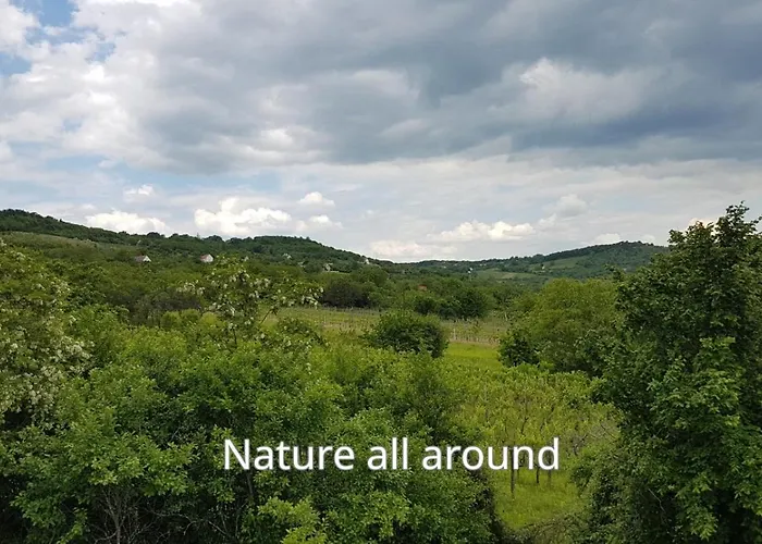 Press House At The Walnut Tree - Mypresshouse בית נופש