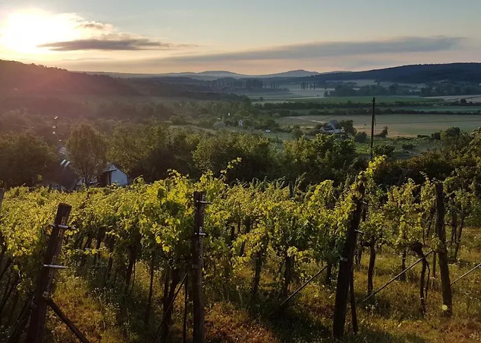 Press House At The Walnut Tree - Mypresshouse * Pécsely