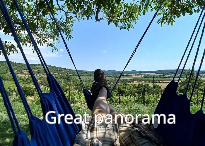 Press House At The Walnut Tree - Mypresshouse בית נופש Pécsely