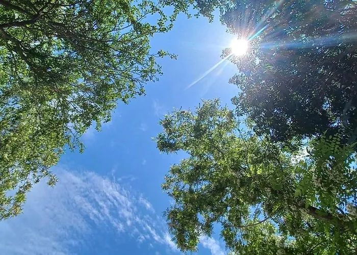 Press House At The Walnut Tree - Mypresshouse Pécsely